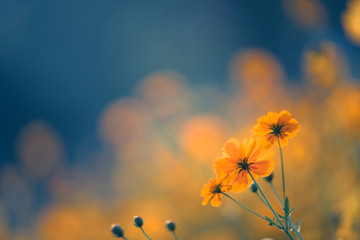 辽宁丹东77个小区封闭管理(丹东市小区)