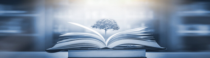 大学生国家补助金什么时候发/2020年大学生补助金什么时候发放