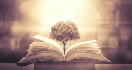 特斯拉x价格/特斯拉x价格走向