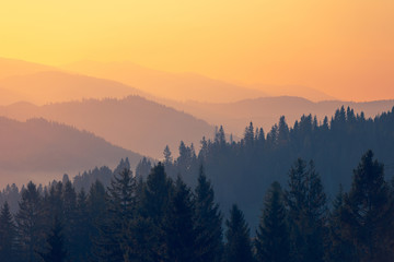 【奔驰s450价格,奔驰s450价格新款】