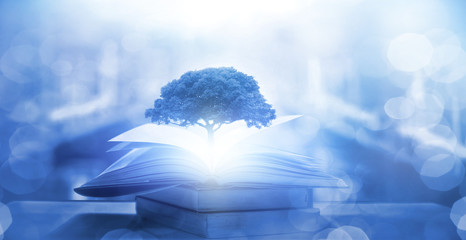 a1能开什么车型/a1开什么车型有什么规定