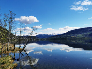 【湖北新增本土确诊病例9例,湖北新增确诊病例2987例】