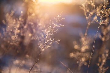 大学生国家补助金什么时候发/2020年大学生补助金什么时候发放