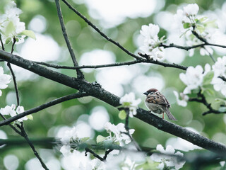 江苏一地3天内阳性感染者破百/江苏 阳性