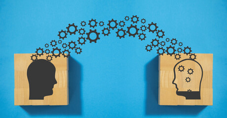 a1能开什么车型/a1开什么车型有什么规定