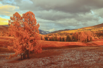江苏一地3天内阳性感染者破百/江苏 阳性