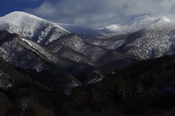 浦东疫情最新情况(浦东浦东疫情)