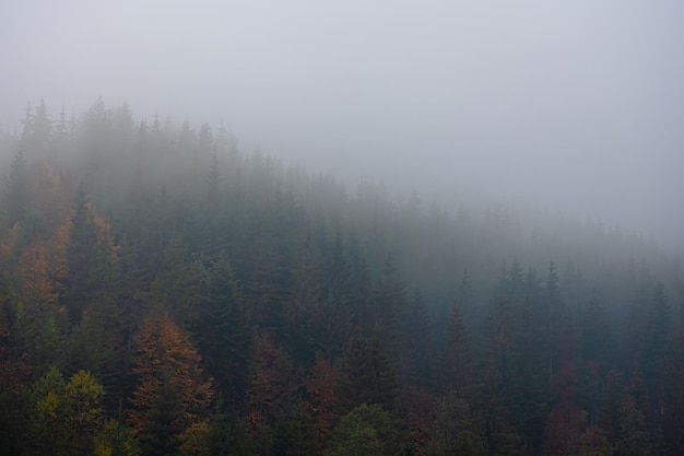 华亭宾馆疫情(华亭最新疫情)