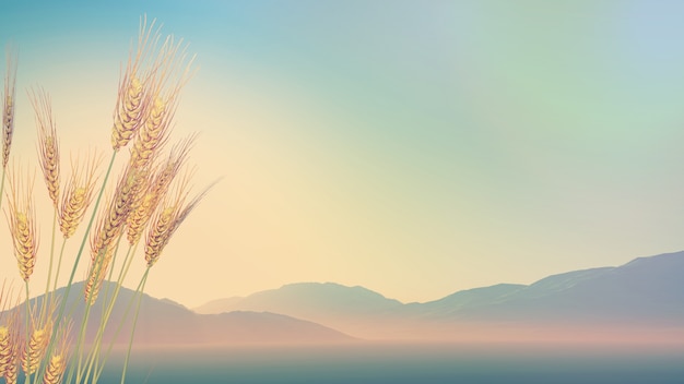 【奔驰s450价格,奔驰s450价格新款】