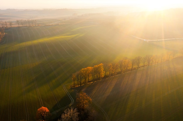 北京油价查询/北京油价查询app